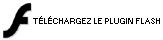 T�l�chargement du plugin Flash